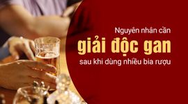 Nguyên nhân cần giải độc gan sau khi dùng nhiều bia rượu