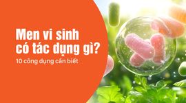 Men vi sinh có tác dụng gì? 10 công dụng cần biết