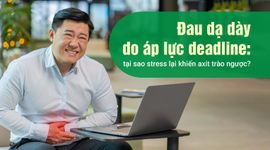 Đau dạ dày do áp lực deadline: tại sao stress lại khiến axit trào ngược?