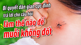 Bí quyết dân gian cực đỉnh trả lời cho câu hỏi làm thế nào để muỗi không đốt