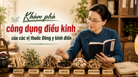 Khám phá công dụng điều kinh của các vị thuốc Đông y kinh điển