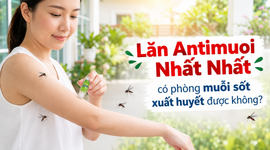 Lăn Antimuoi Nhất Nhất: có phòng muỗi sốt xuất huyết được không?