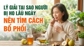 Lý giải tại sao người bị ho lâu ngày nên tìm cách bổ phổi