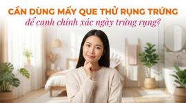 Cần dùng mấy que thử rụng trứng để canh chính xác ngày trứng rụng?