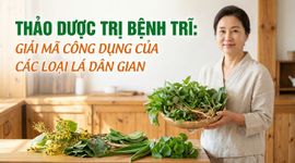 Thảo dược trị bệnh trĩ: giải mã công dụng của các loại lá dân gian