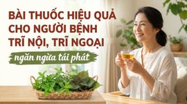 Bài thuốc hiệu quả cho người bệnh trĩ nội, trĩ ngoại, ngăn ngừa tái phát