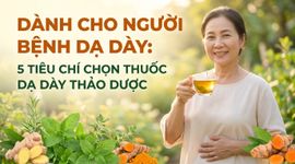 Dành cho người bệnh dạ dày: 5 tiêu chí chọn thuốc dạ dày thảo dược