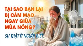 Tại sao bạn lại bị cảm mạo ngay giữa mùa nóng? sự thật ít người biết