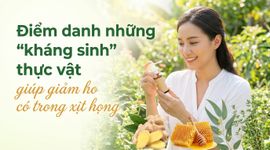 Điểm danh những "kháng sinh" thực vật giúp giảm ho có trong xịt họng