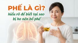 Phế là gì? hiểu rõ để biết tại sao bị ho nên bổ phế