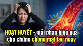 Hoạt huyết - giải pháp hiệu quả cho chứng chóng mặt lâu ngày