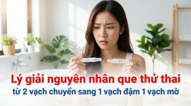 Lý giải nguyên nhân que thử thai từ 2 vạch chuyển sang 1 vạch đậm 1 vạch mờ
