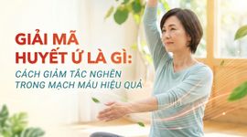 Giải mã huyết ứ là gì: cách giảm tắc nghẽn trong mạch máu hiệu quả