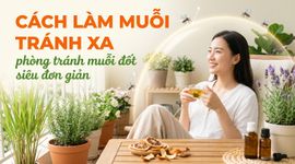 Cách làm muỗi tránh xa, phòng tránh muỗi đốt siêu đơn giản