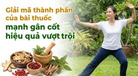 Giải mã thành phần của bài thuốc mạnh gân cốt hiệu quả vượt trội