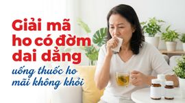 Giải mã ho có đờm dai dẳng, uống thuốc ho mãi không khỏi