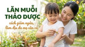 Lăn muỗi thảo dược - cách giảm ngứa, làm dịu da mẹ cần có