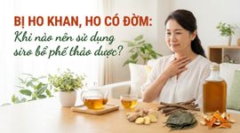 Bị ho khan, ho có đờm: khi nào nên sử dụng siro bổ phế thảo dược?