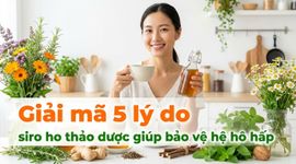 Giải mã 5 lý do siro ho thảo dược giúp bảo vệ hệ hô hấp