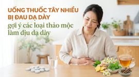 Uống thuốc tây nhiều bị đau dạ dày: gợi ý các thảo mộc làm dịu dạ dày
