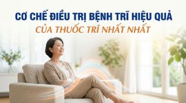 Cơ chế điều trị bệnh trĩ hiệu quả của Thuốc Trĩ Nhất Nhất