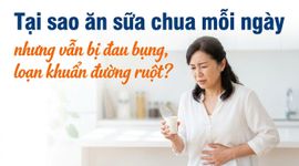 Tại sao ăn sữa chua mỗi ngày nhưng vẫn bị đau bụng, loạn khuẩn đường ruột?