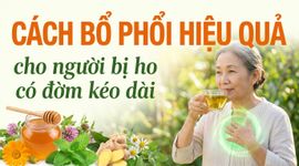 Cách bổ phổi hiệu quả cho người bị ho có đờm kéo dài