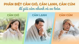 Phân biệt cảm gió, cảm lạnh, cảm cúm để giải cảm nhanh và an toàn
