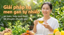 Giải pháp hạ men gan tự nhiên an toàn, hiệu quả theo lời khuyên chuyên gia