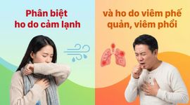 Phân biệt ho do cảm lạnh và ho do viêm phế quản, viêm phổi