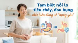 Tạm biệt nỗi lo tiêu chảy, đau bụng nhờ hiểu đúng về "bụng yếu"