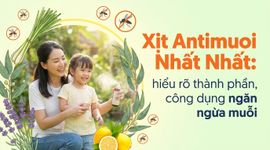 Xịt Antimuoi Nhất Nhất: hiểu rõ thành phần, công dụng ngăn ngừa muỗi