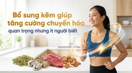 Bổ sung kẽm giúp tăng cường chuyển hóa: quan trọng nhưng ít người biết