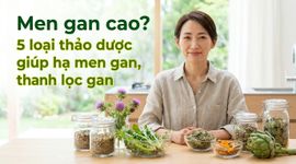 Men gan cao? 5 loại thảo dược giúp hạ men gan, thanh lọc gan