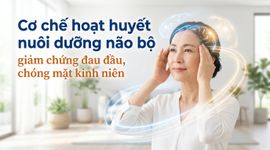 Cơ chế hoạt huyết nuôi dưỡng não bộ, giảm chứng đau đầu, chóng mặt kinh niên