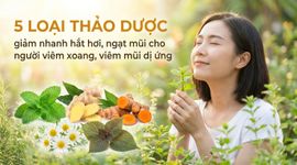 5 loại thảo dược giảm nhanh hắt hơi, ngạt mũi cho người viêm xoang, viêm mũi dị ứng