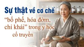Sự thật về cơ chế "bổ phế, hóa đờm, chỉ khái" trong y học cổ truyền