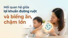 Mối quan hệ giữa lợi khuẩn đường ruột và biếng ăn, chậm lớn