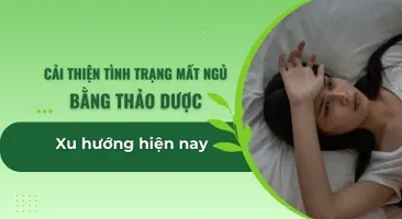Cải thiện tình trạng mất ngủ bằng thảo dược: Xu hướng hiện nay