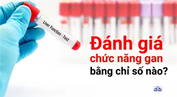 Đánh giá chức năng gan bằng các xét nghiệm nào?