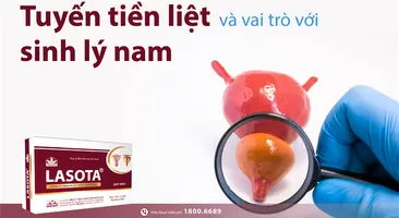 Tuyến tiền liệt và vai trò với sinh lý nam