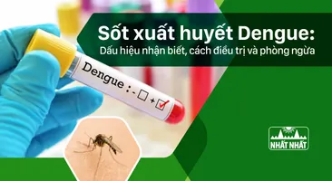 Sốt xuất huyết Dengue: Dấu hiệu nhận biết, cách điều trị và phòng ngừa