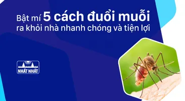 Bật mí 5 cách đuổi muỗi ra khỏi nhà nhanh chóng và tiện lợi