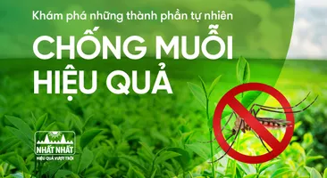 Khám phá những thành phần tự nhiên chống muỗi hiệu quả