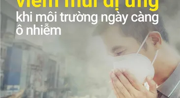 VÌ SAO Ô NHIỄM MÔI TRƯỜNG GÂY VIÊM MŨI DỊ ỨNG