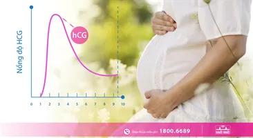 Bạn đã biết sử dụng que thử thai đúng cách?
