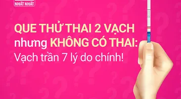 Que thử thai 2 vạch nhưng không có thai: Vạch trần 7 lý do chính!
