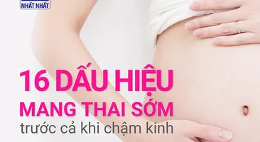 16 Dấu hiệu mang thai sớm trước cả khi chậm kinh