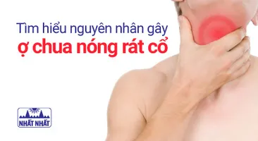 Tìm hiểu nguyên nhân gây ợ chua nóng rát cổ