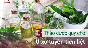 3 Thảo dược quý cho U xơ tuyến tiền liệt